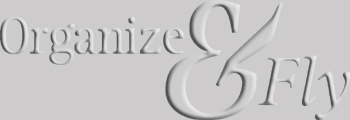 Org-Fly-Logo.jpg